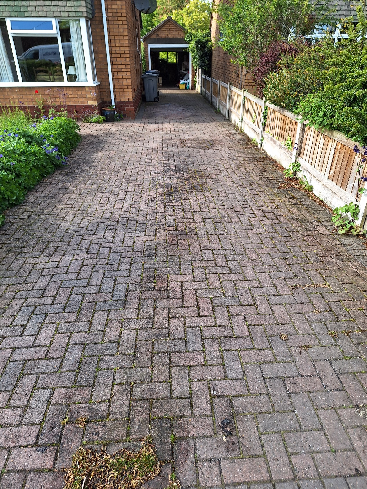 Block-paved driveway before cleaning, with moss and weeds between the paving blocks.